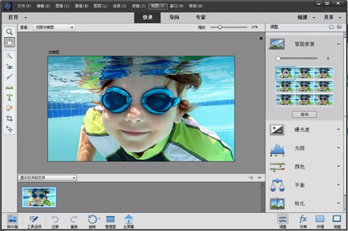 Adobe Photoshop Elements 2021下载