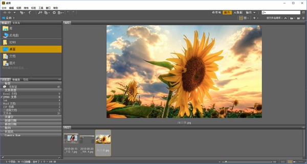 Adobe Bridge CS6下载