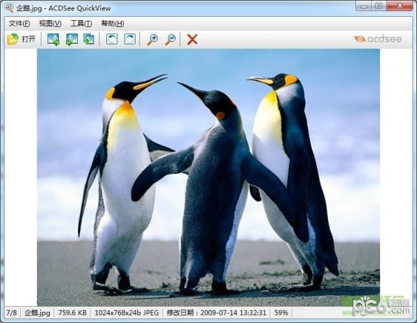 acdsee quickview绿色版
